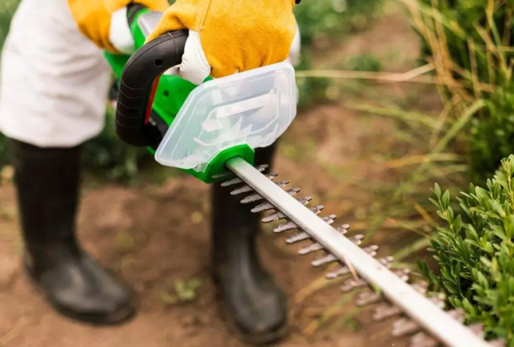 Quelles sont les meilleures pratiques d'arrosage pour l'entretien des espaces verts ? Saint-Flour